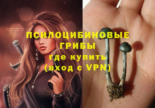 соль ск Волоколамск