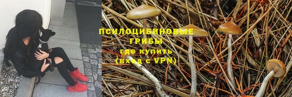 соль ск Волоколамск